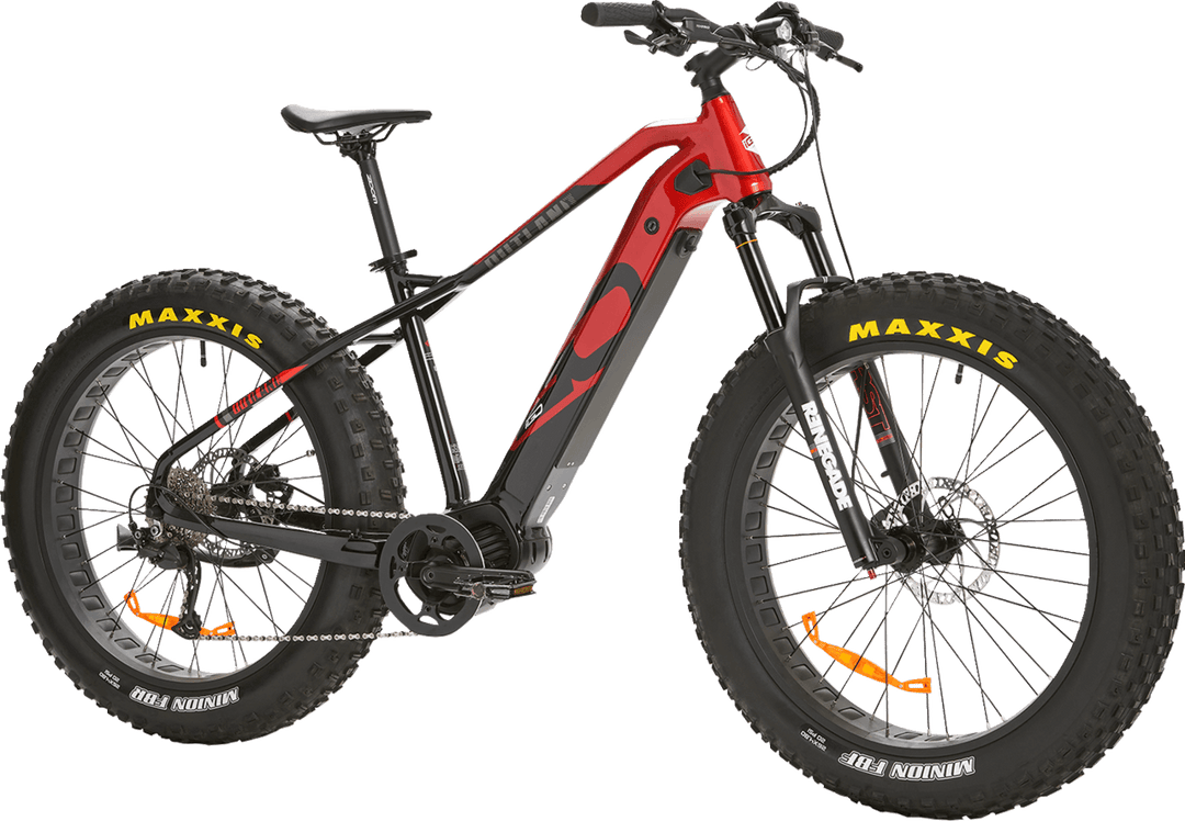 iGO Electric Bikes